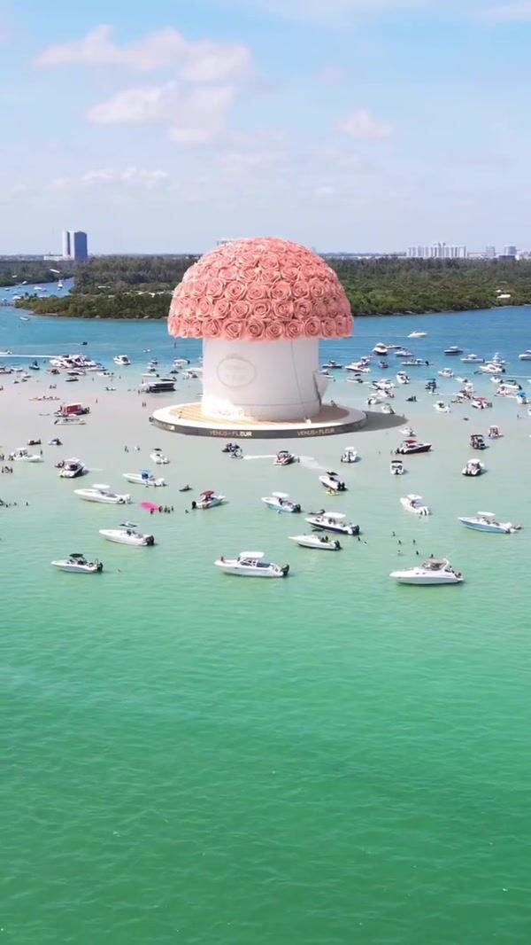 Venus et Fleur Giant Bouquet at Haulover Sandbar