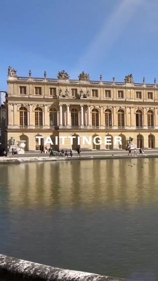 Champagne Taittinger Giant Grape Splashes on Water