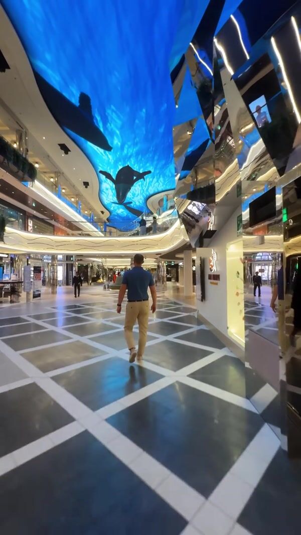 MSC Cruises Humpback Whales Inside Ship
