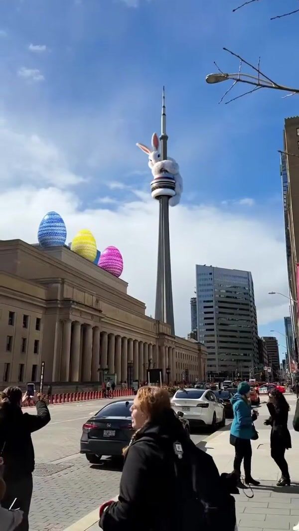 Toronto Culture Giant Bunny Hangs Off CN Tower