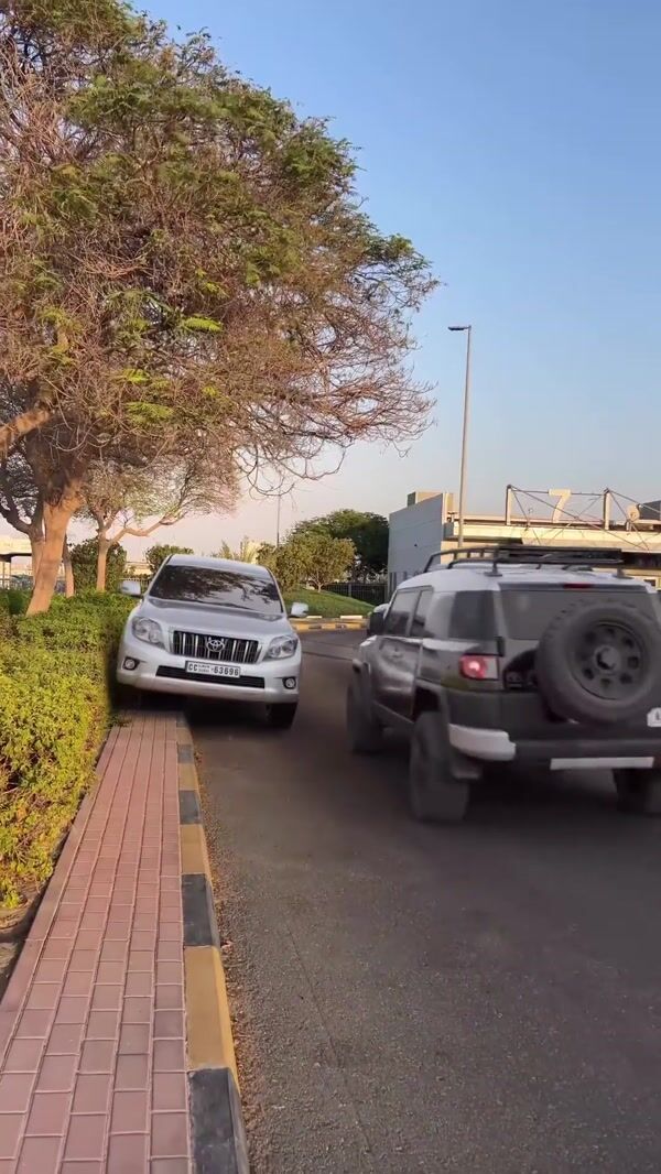 Automax FJ Cruiser Passes Through Sideways