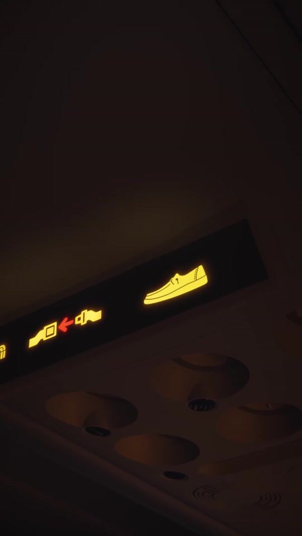Hey Dude Sneaker Rides on Plane