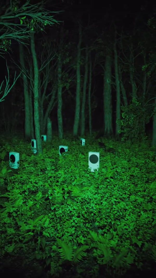 XBOX Consoles Spotted in the Forest