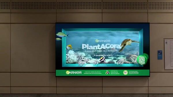 Garnier Turtle Swims Out of Water