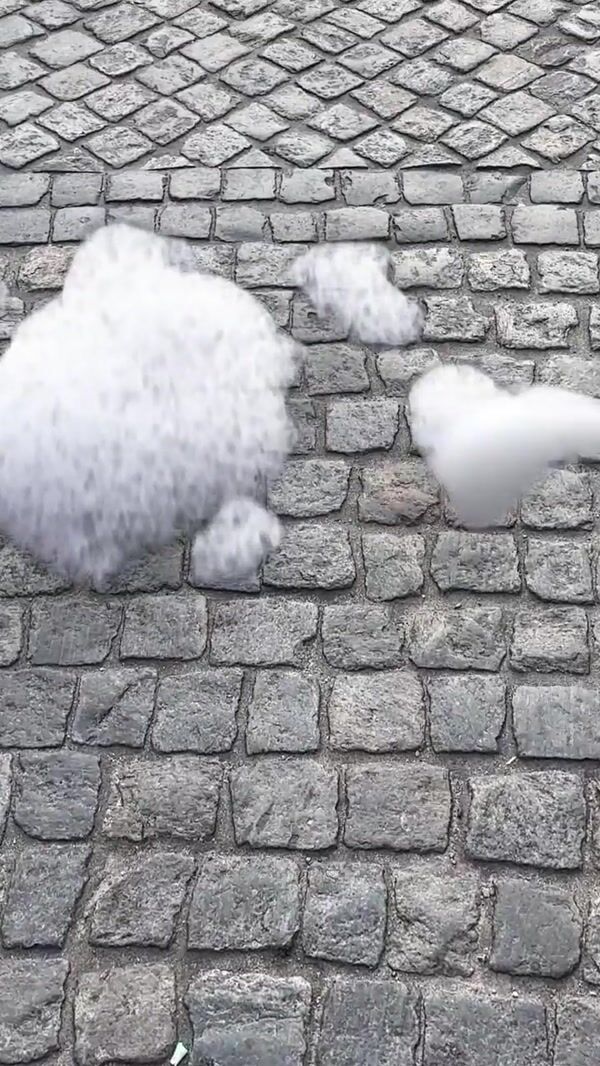 DM Giant Bottle Floods Mermaid Statue With Suds