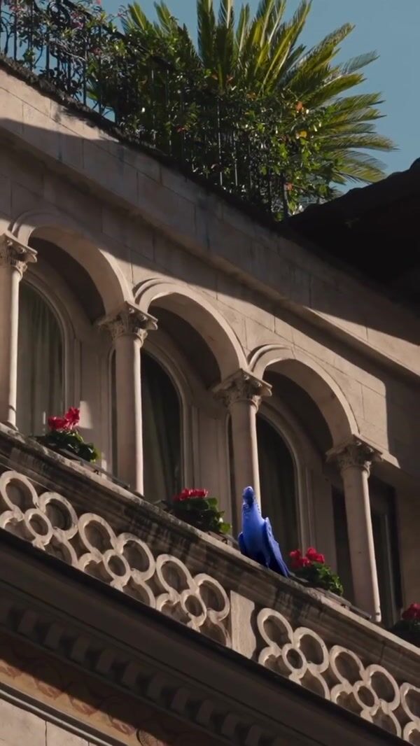 Georgio Armani Blue Animals Spotted in Italy