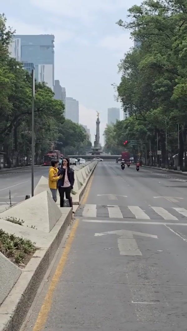 Universal Pictures "Toothless" Lands in Reforma