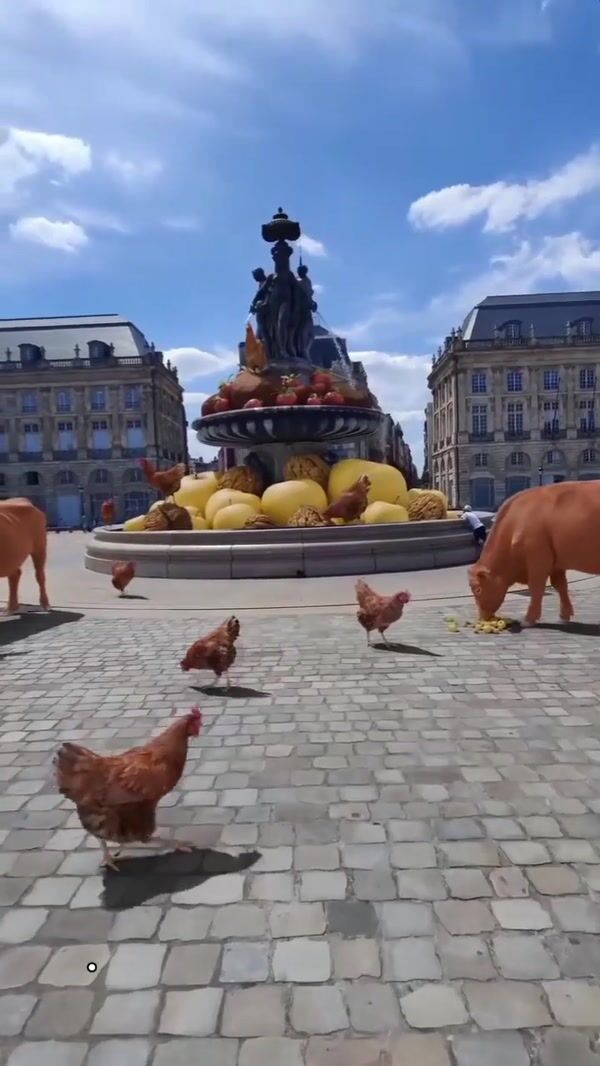 Quoifaireabordeaux Farm Products Spotted at Plaza