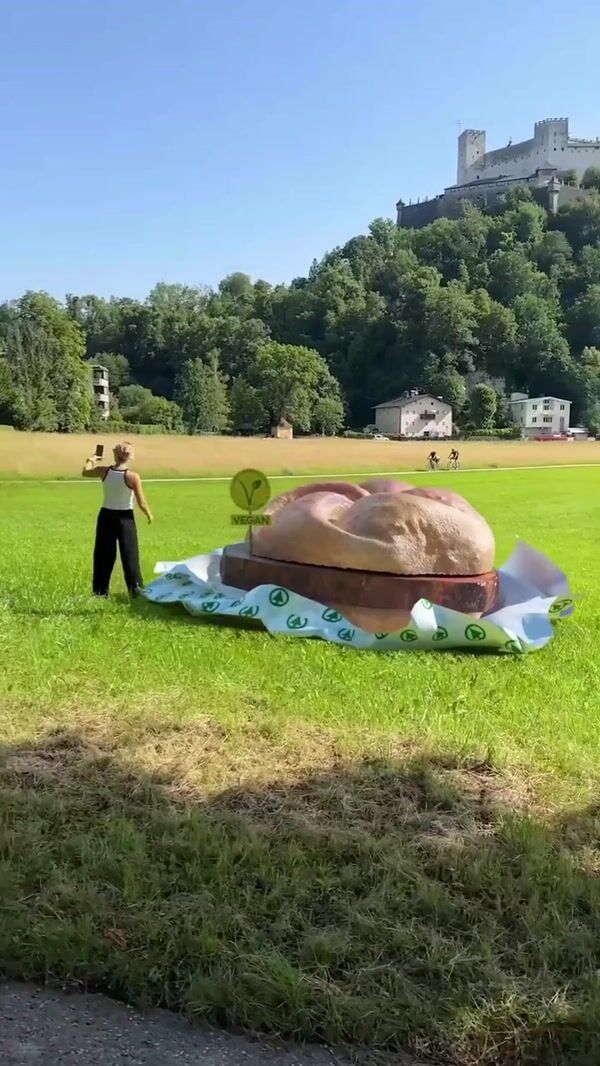 Spar Giant Vegan Sandwich at a Park