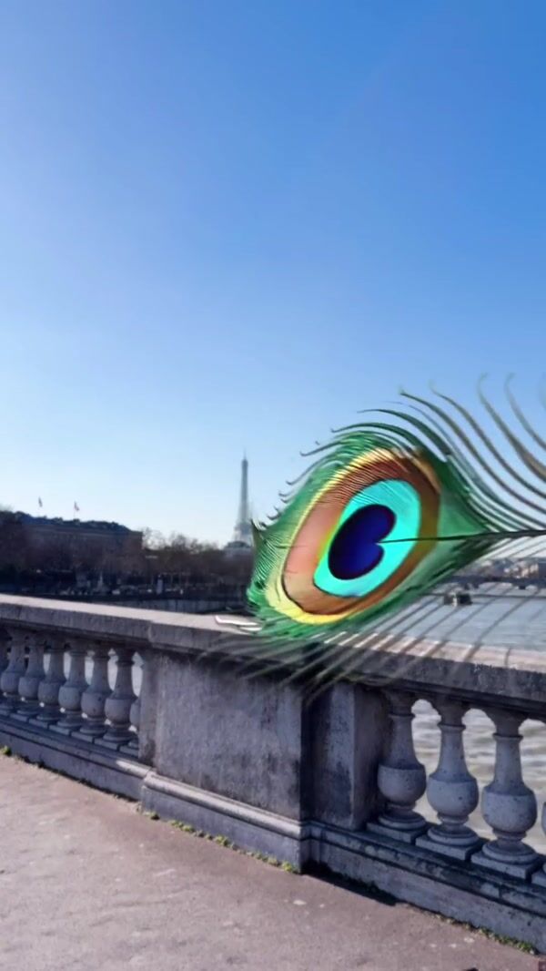 Samaritaine Paris Feather Floats Towards Peacock