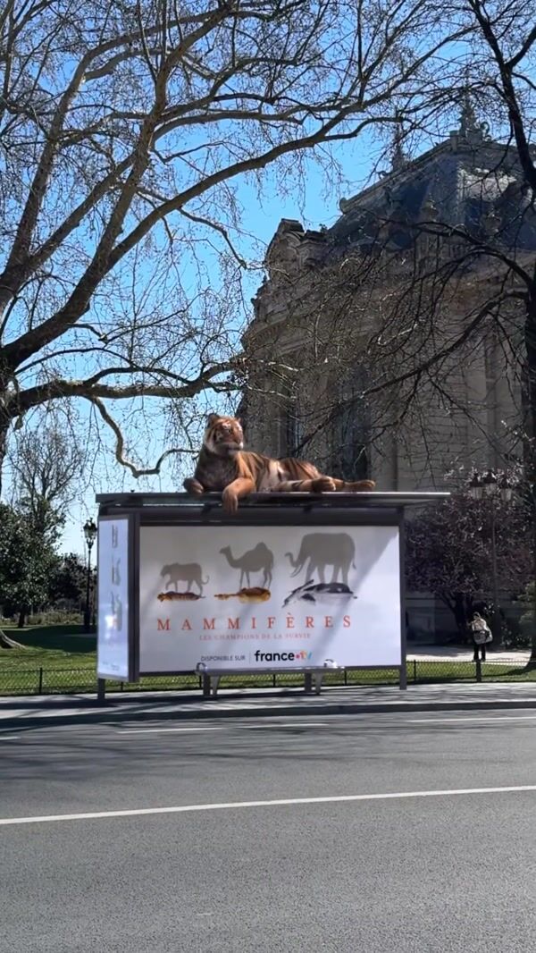 France Télévisions Wild Animals Take Over Paris