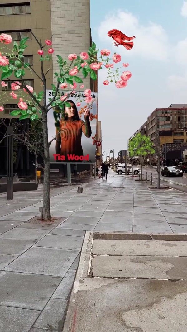Amazon Music Flowers Bloom on Bare Trees