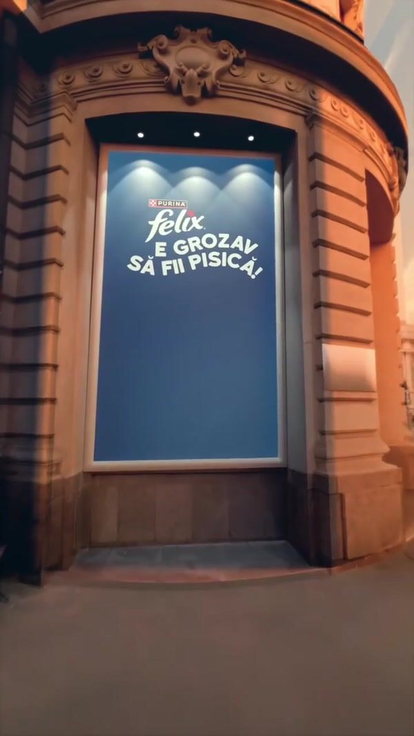 Purina Felix Cat Comes to Life from Billboard