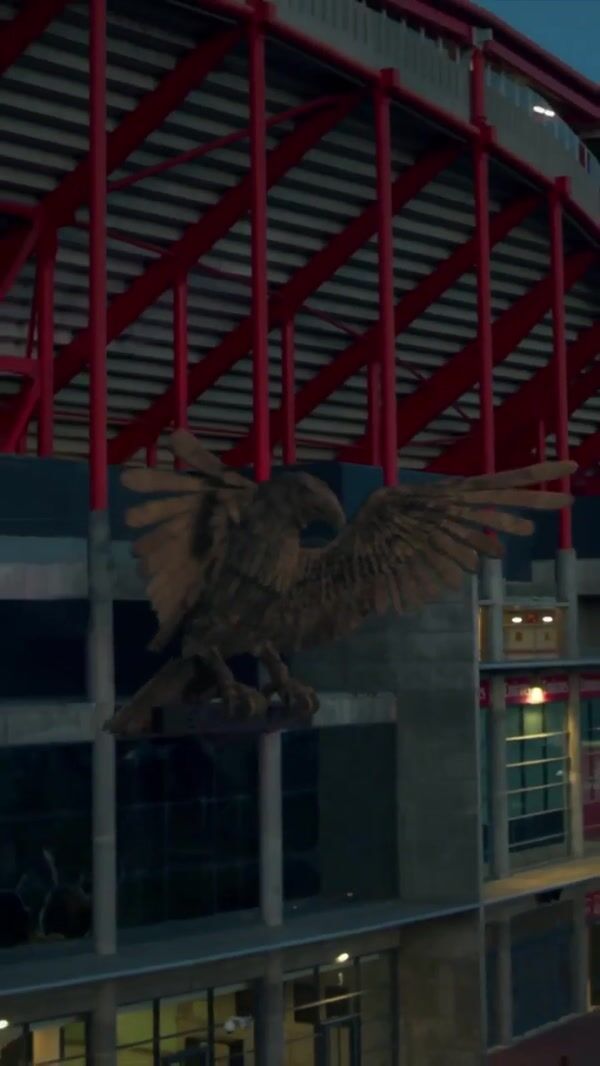 Adidas Metal Eagle Soars Above Stadium in Portugal