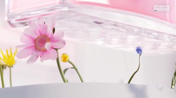Dior Perfume Rotates Above Spring Flowers
