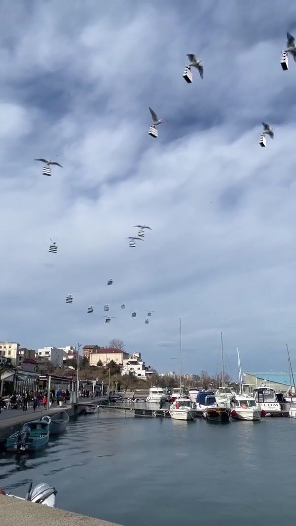 Sephora Storks Carrying Shopping Bags