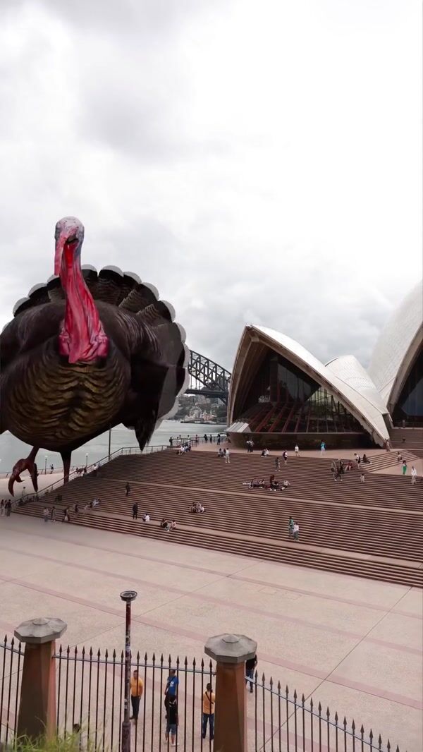 Freezeframe Giant Tube Drops on Giant Turkey