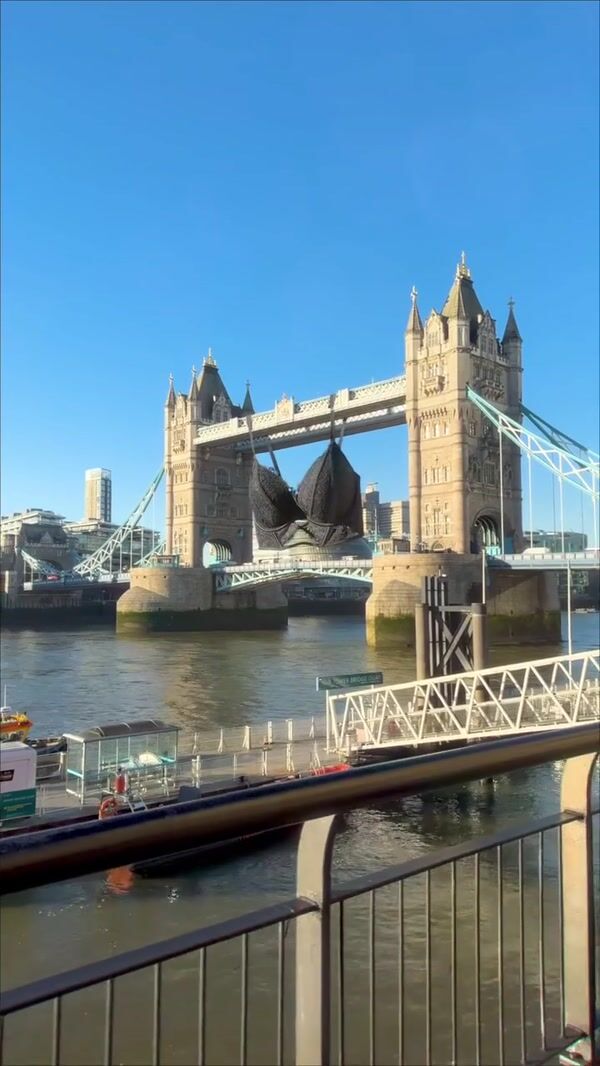 Marks & Spencer Giant Black Bra Hangs from Tower Bridge