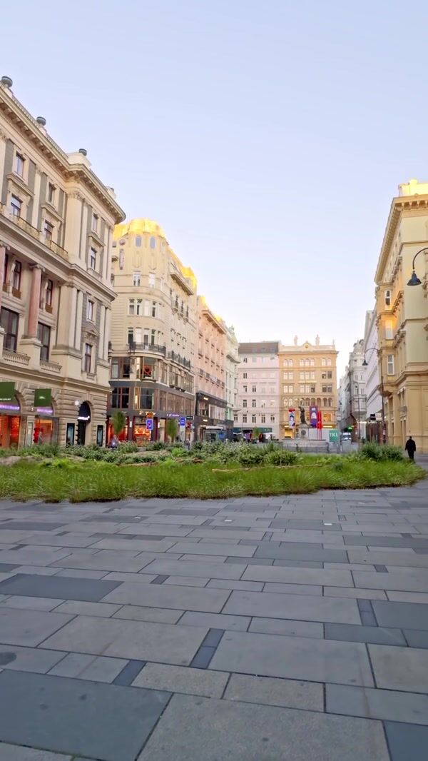 Glorit Trees Grow in the Middle of Graben