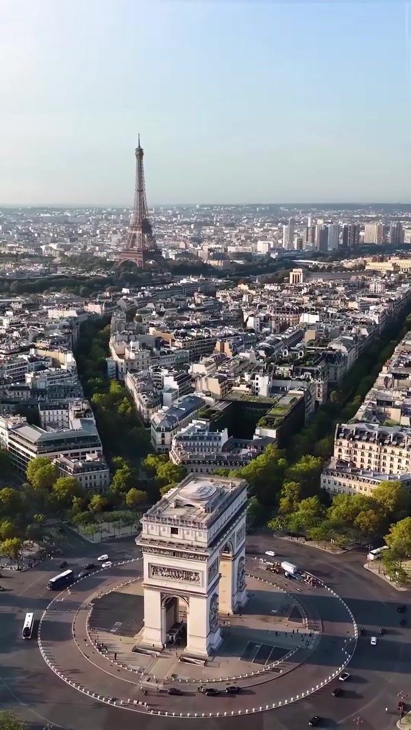 L’ovenze Professional Purple Flowers Sweep Paris