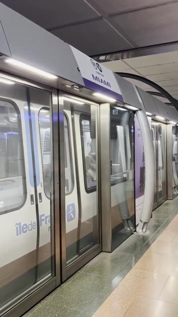 French Bee Alligator Exits from Subway Train