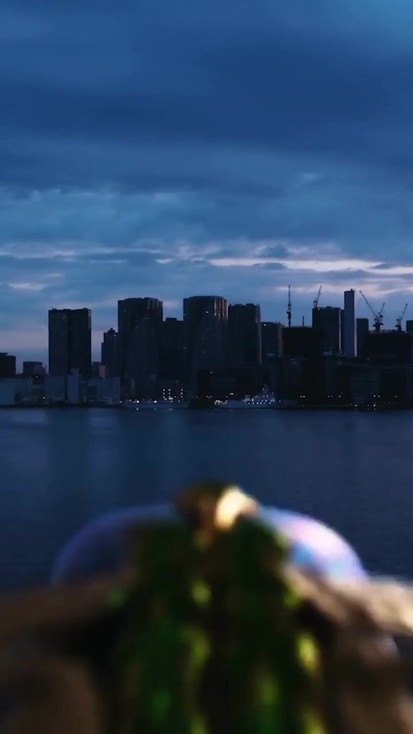 Tiffany & Co. Dragonfly Brooch Flying Above Tokyo