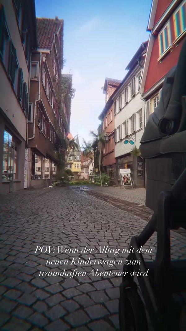 Joie Baby Cobbled Street Turned into Jungle