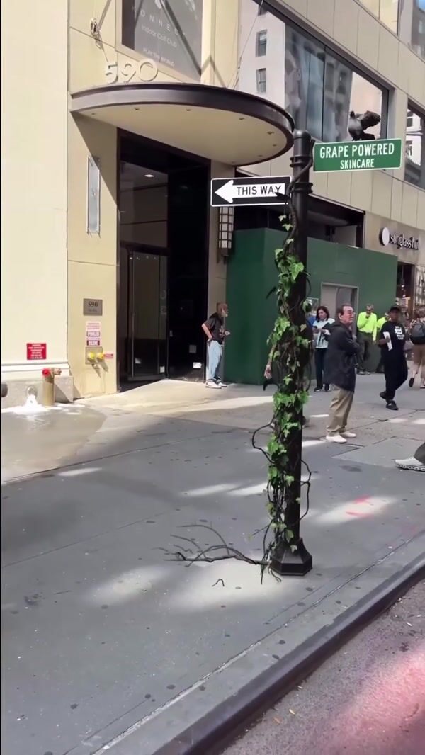 Caudalie Grapes Spill Out of Window Display