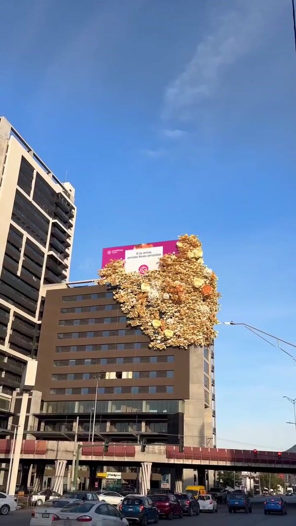 Enviaflores Yellow Flowers Bloom on Rooftop