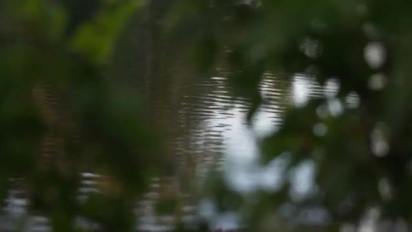 Ethereal White- AI Fashion Film.