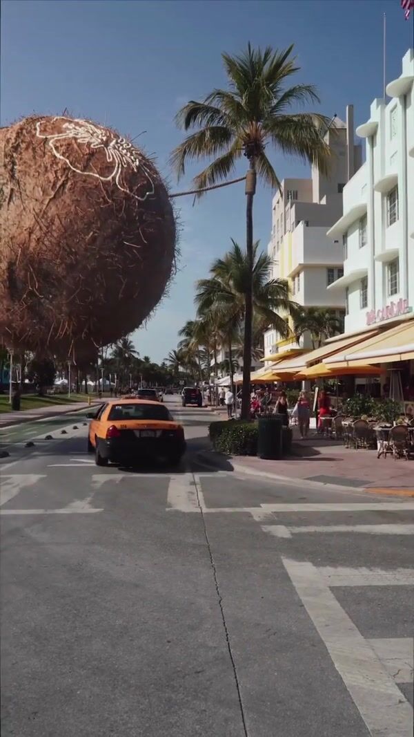 Kulani Kinis Giant Husked Coconut Swing in Miami