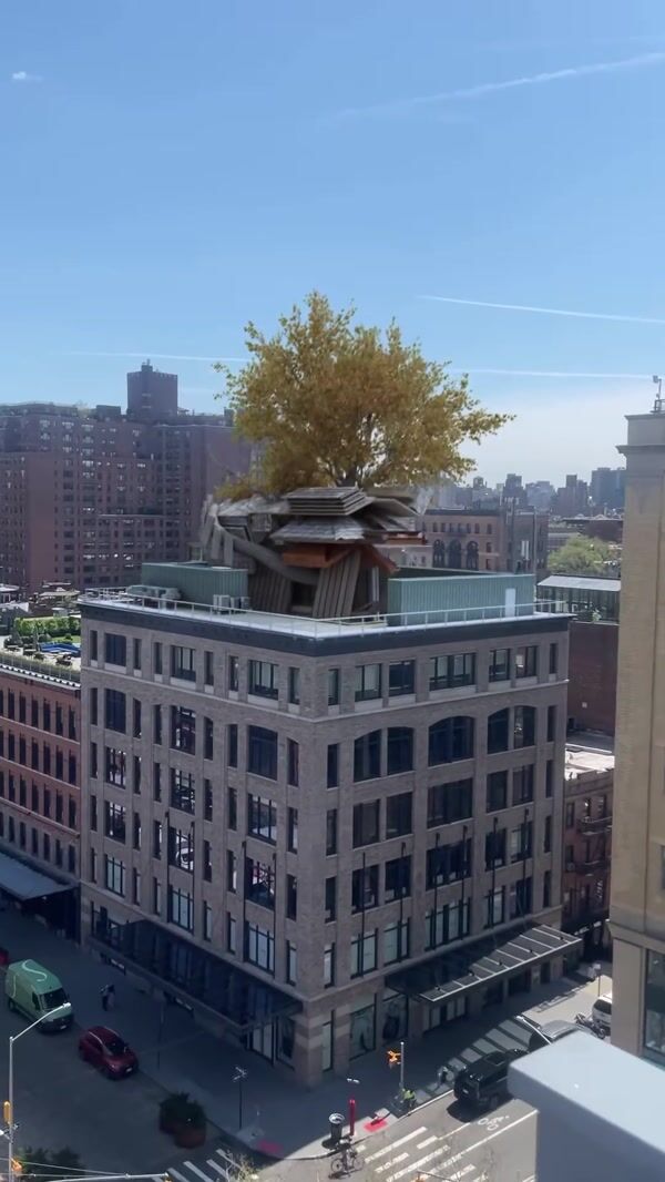 Lenovo Treehouse Emerges from Building