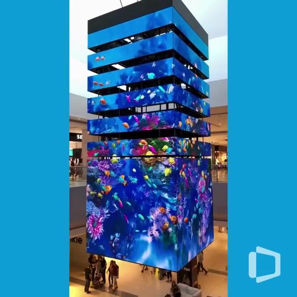 Fish Swim Across LED Cube