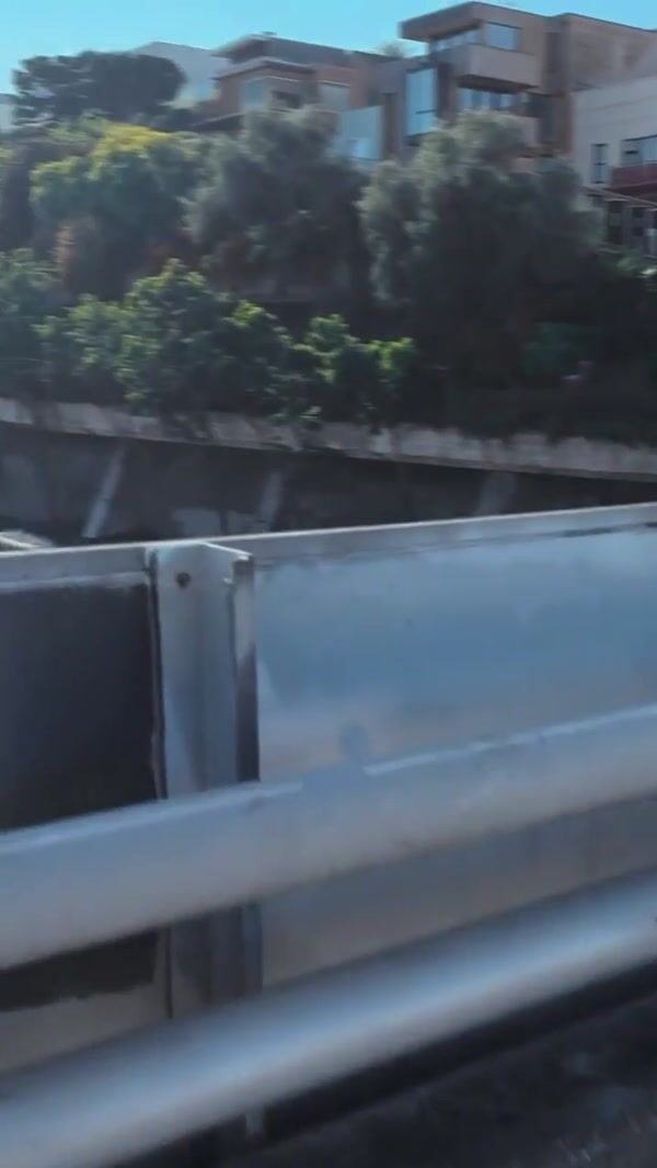 Netflix Sleeping Bison Blocks Highway Traffic
