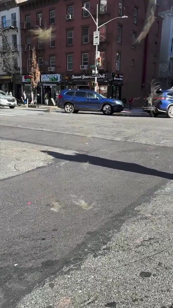Netflix Bison Flies Over NYC Street