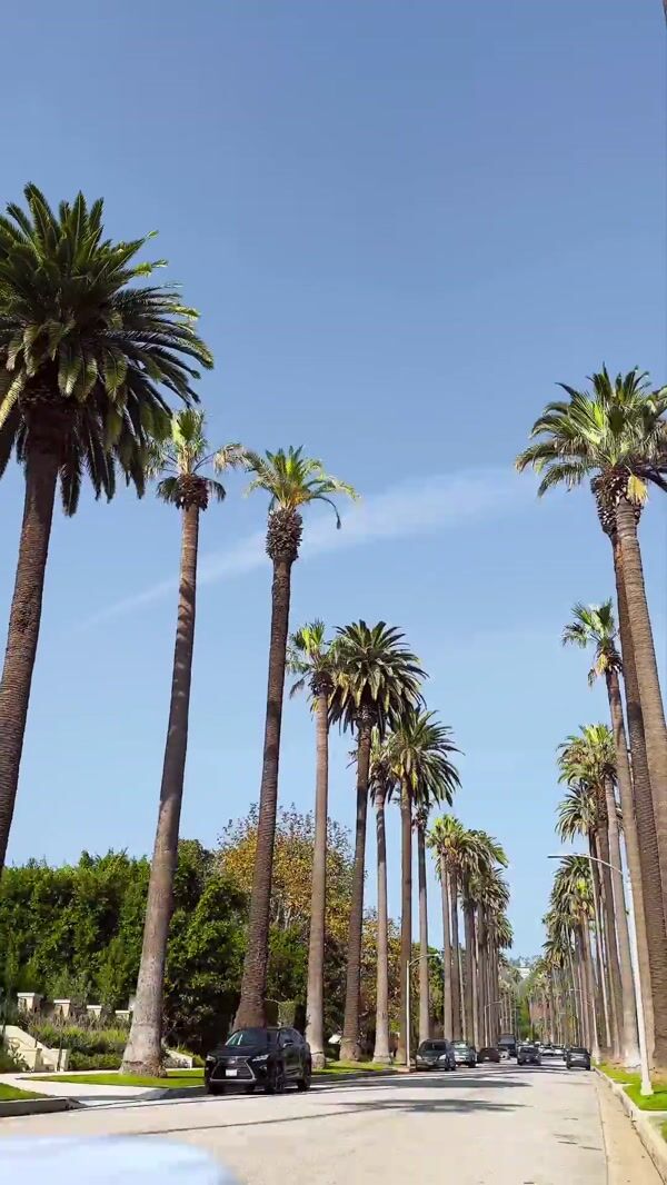 MOON Teeth Whitening Device Bleaching Street in Beverly Hills