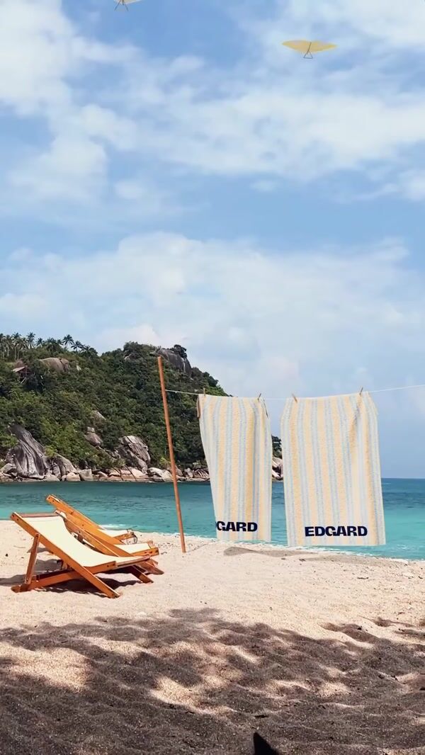 Edgard Opticiens Banner Flies over Beach
