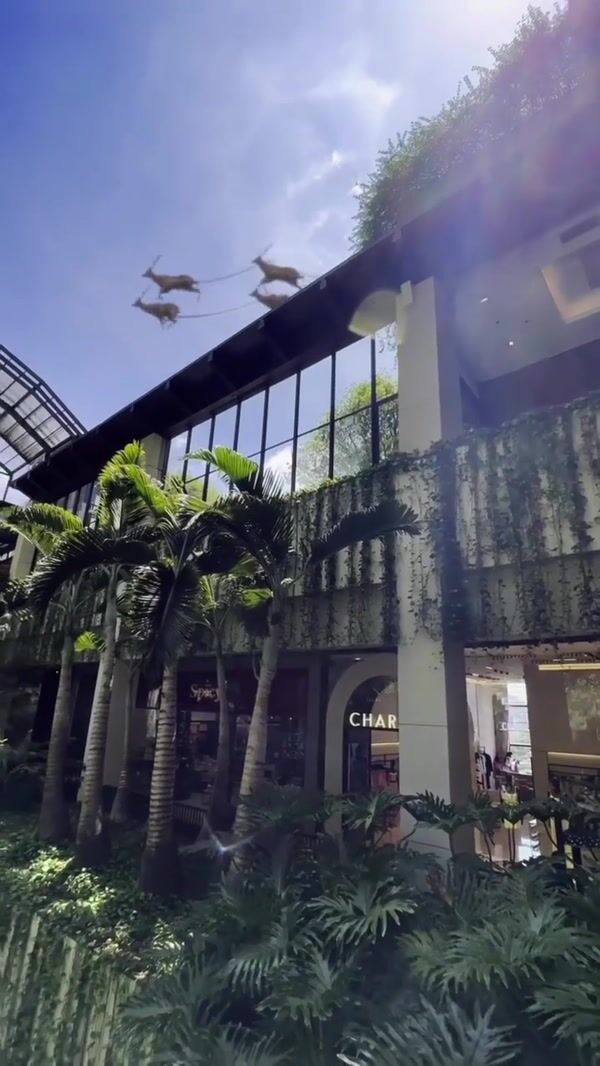 Shopping Cidade Jardim Flying Reindeer Sleigh Ride