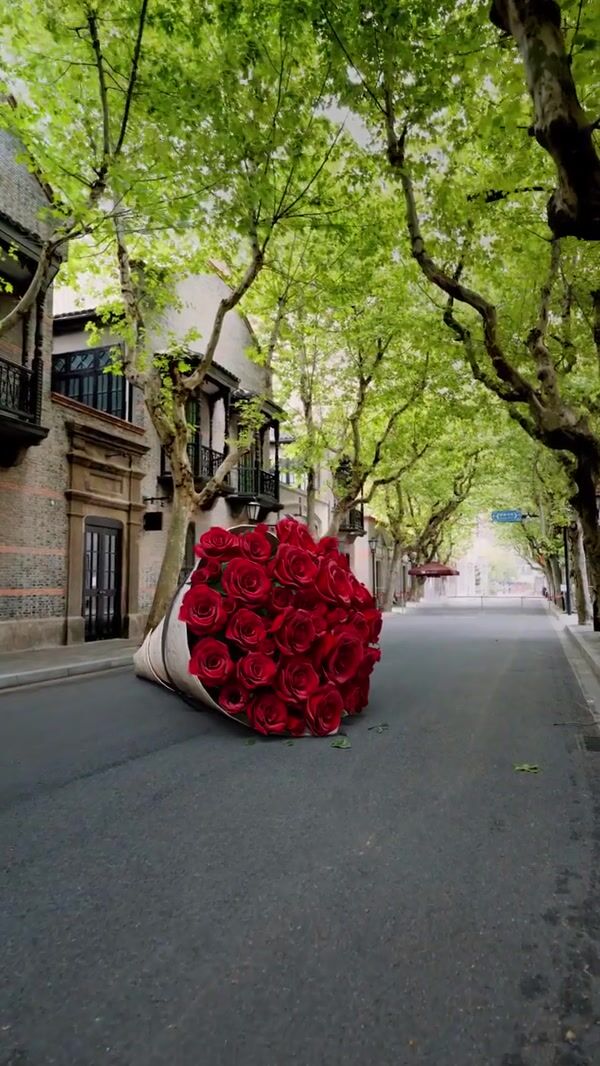 Zara Bouquet of Red Roses on the Street