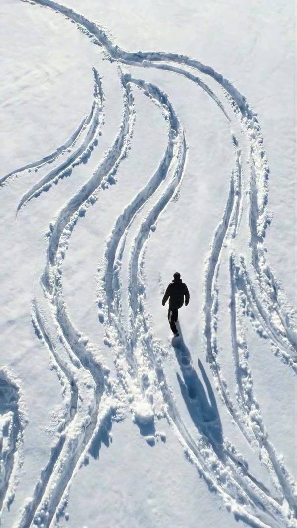 Balenciaga Horse Etched on Snow