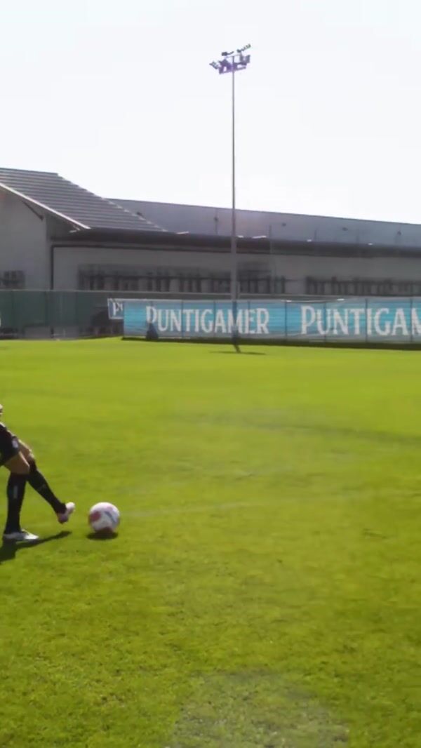 Puntigamer Pinball Arcade Goal on Soccer Field