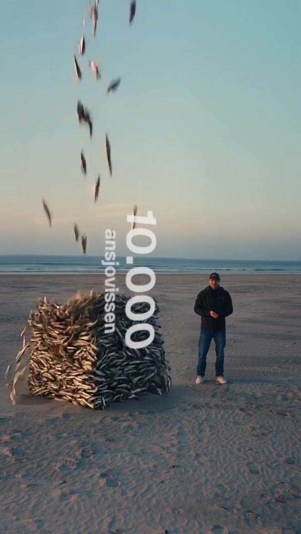 Plnktn Stacks of Fish Form Pillars