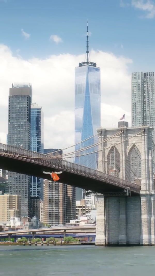 Grubhub Orange Bag Delivery by Storks in NYC