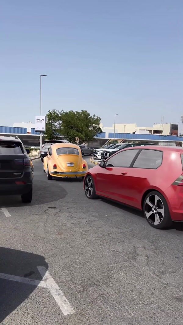 Automax Robotic Arm Throws Car