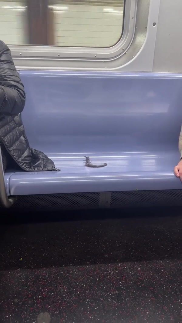 Netflix Parasyte Enter Man’s Ear on Subway