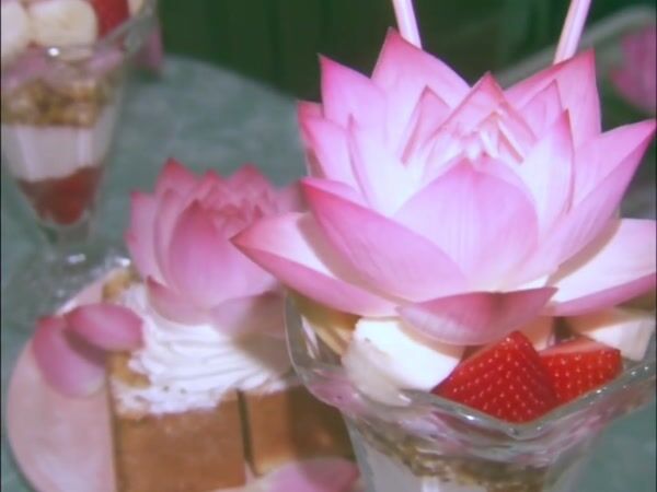 Lotus Memories - Korean Nostalgia