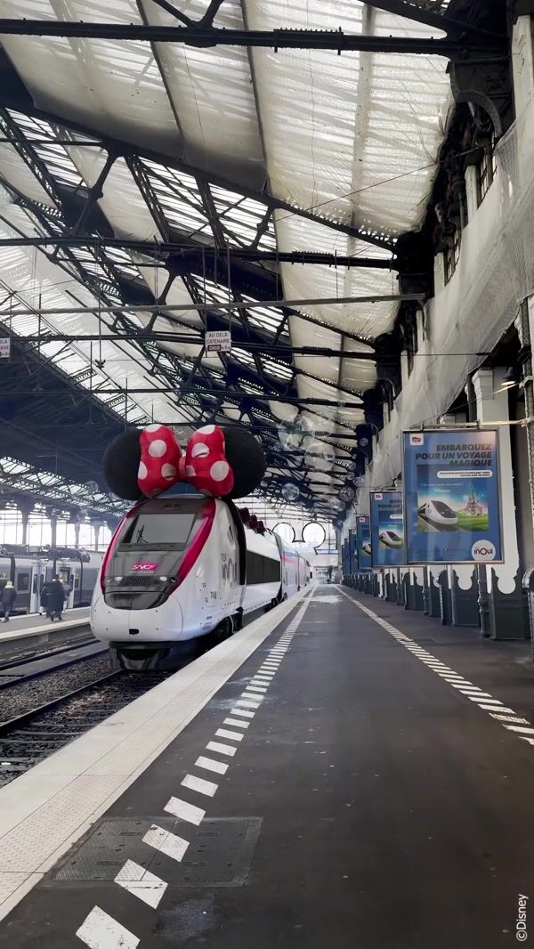 TGV Train Wears Minnie Mouse Bow