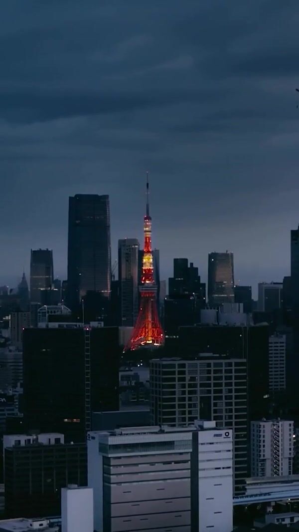 Tiffany & Co. Dolphin Clip Gliding Over Tokyo