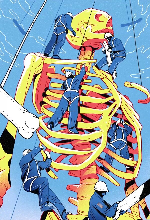 BBC Science Focus -  Bones