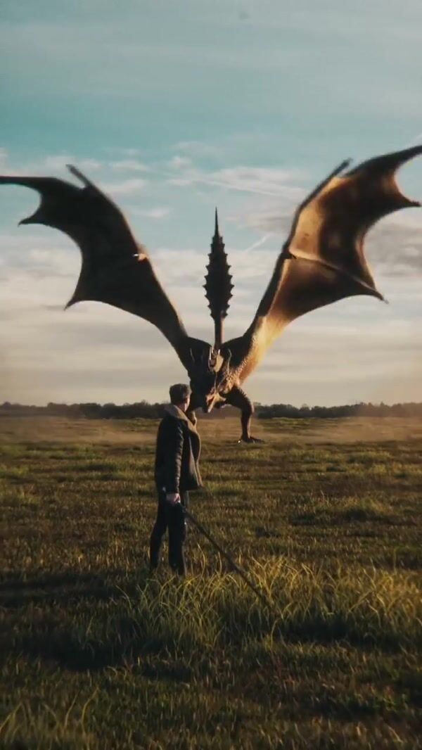 Samsung Swordsman's Duel with the Dragon